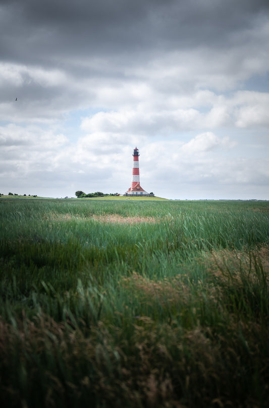 Fotografie-Print – Leuchtturm Westerheversand in den Salzwiesen