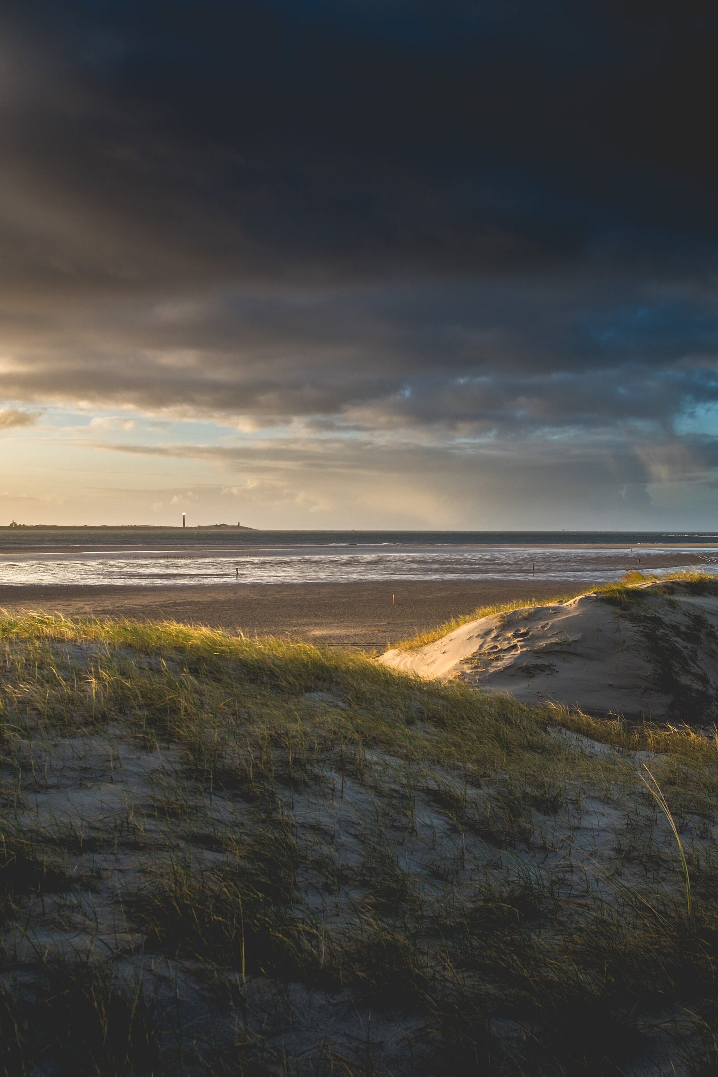 Fotografie-Print - Stranddünen bei Sonnenaufgang – Texel, Niederlande