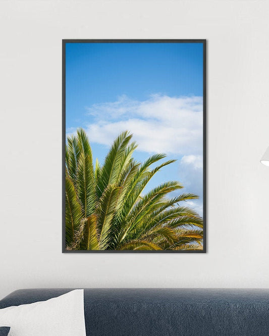 Fotografie Print – Wunderschöne Palme auf Fuerteventura – Kanarische Inseln, Spanien