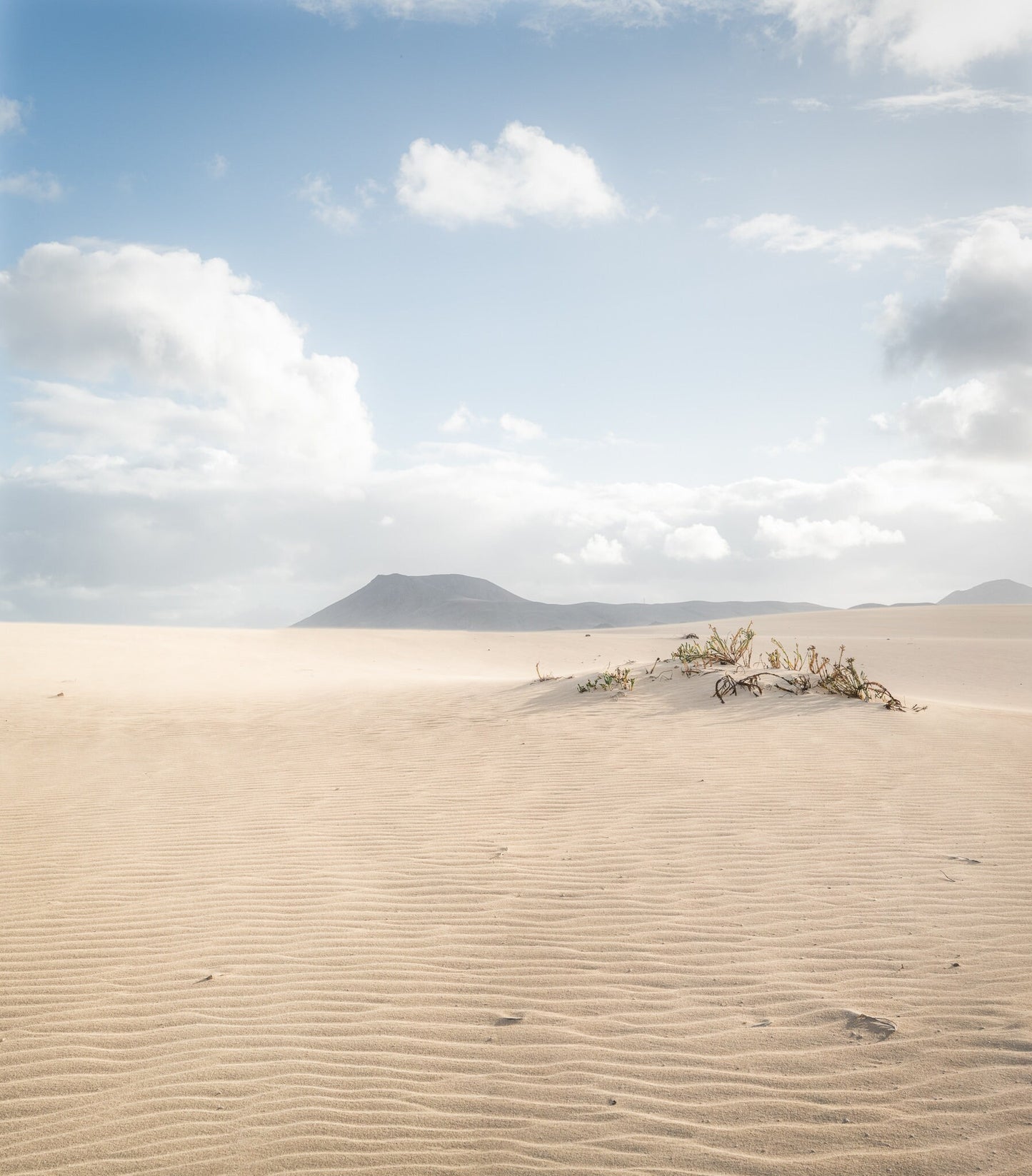 Print - Dunes of Corraljo at Fuerteventura