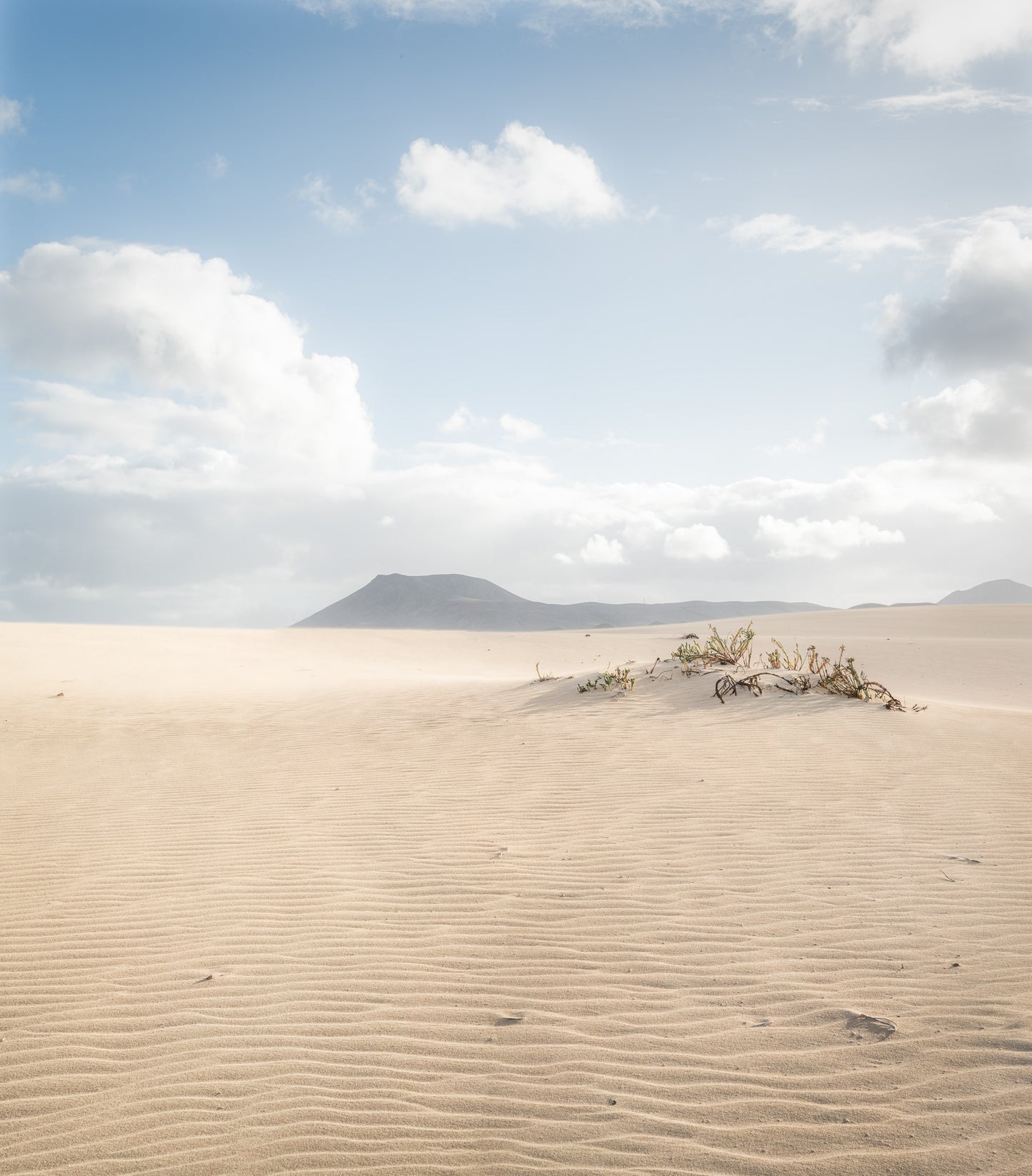 Fotografie-Print – Dünen von Corralejo mit Bergpanorama