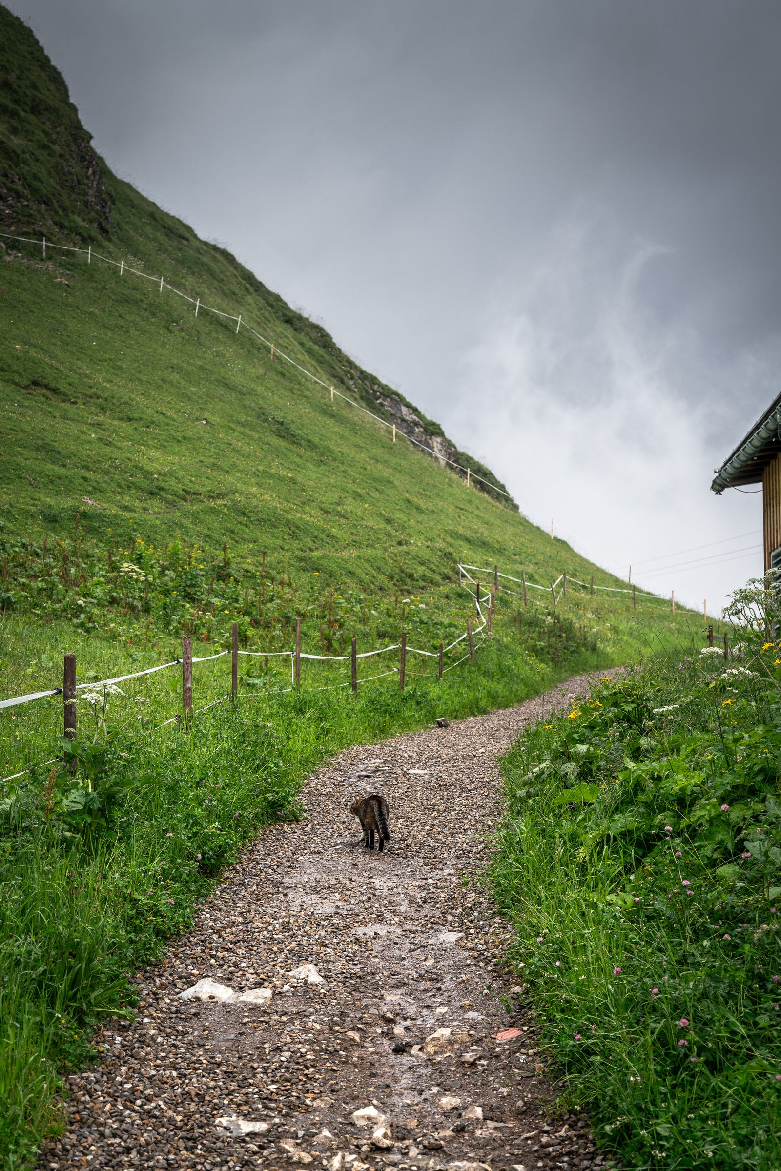 Alpiner Spaziergang