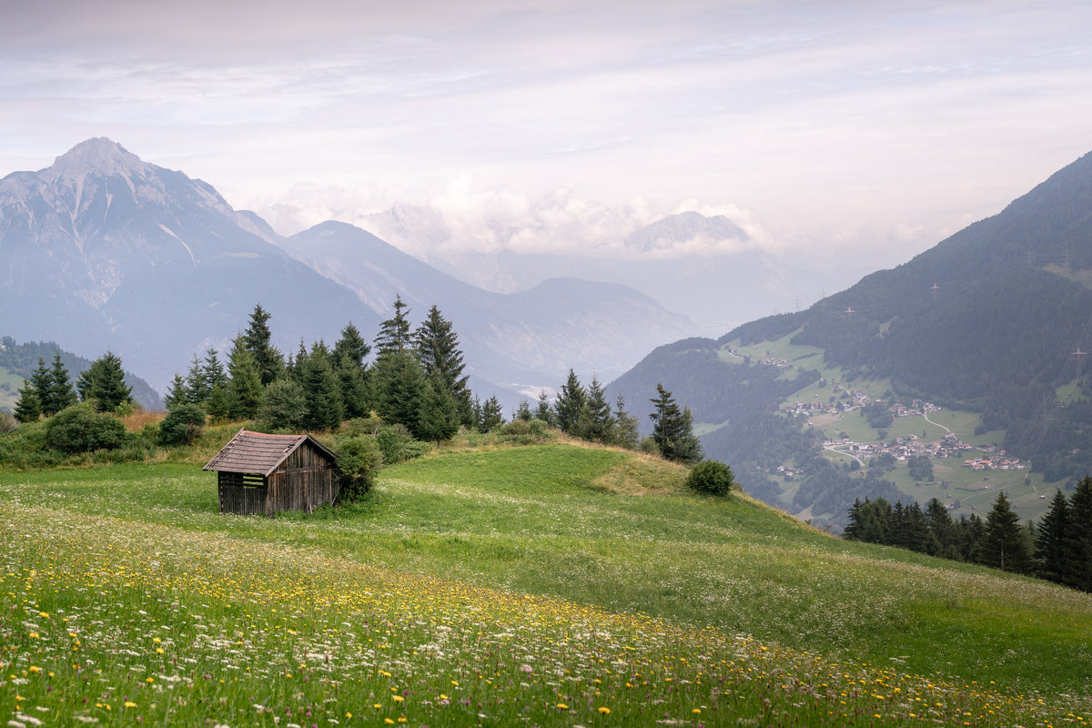 Almwiese mit Hütte, Tirol