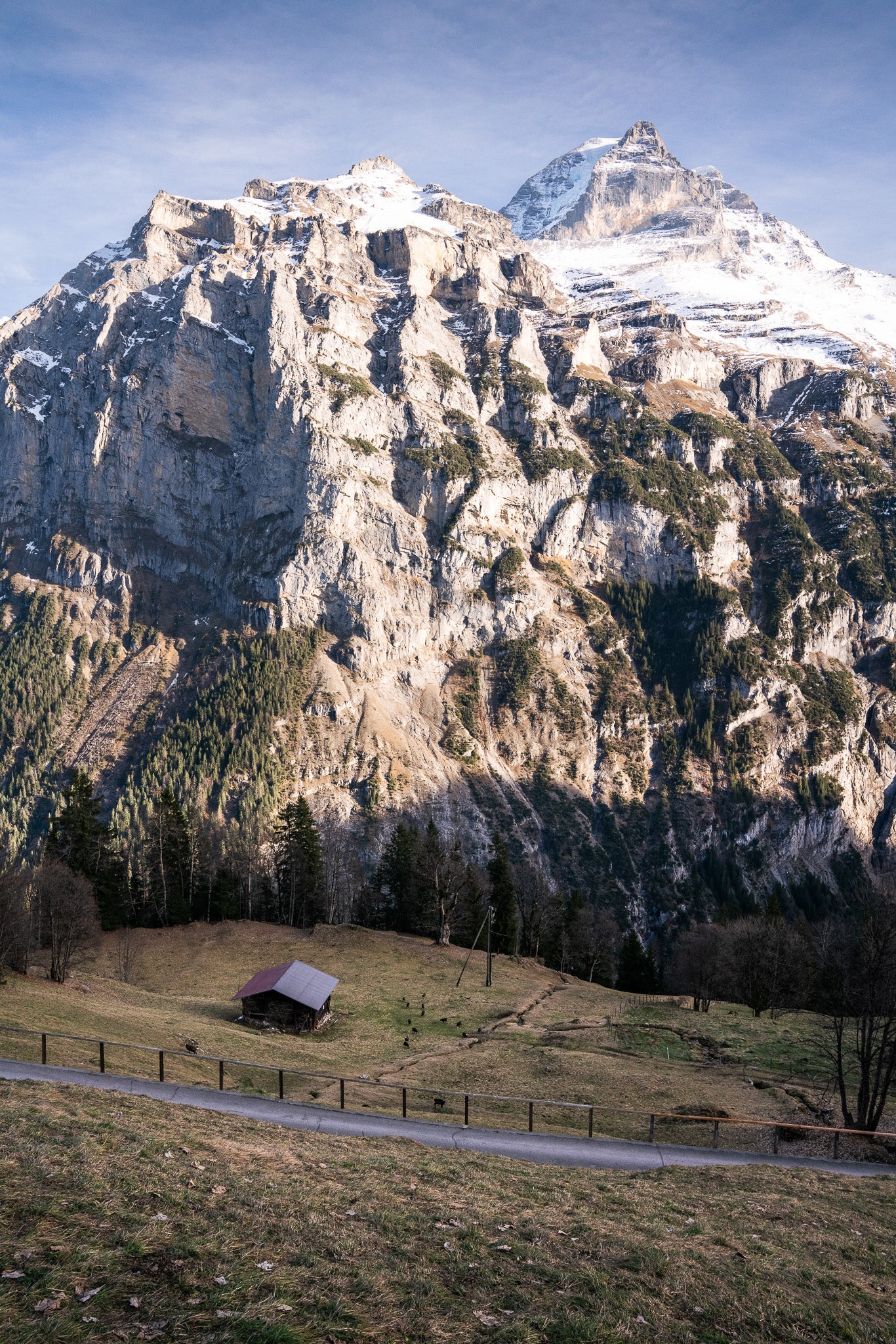 Fotografie Print – Schwarzmönch Schweizer Alpen