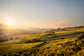 Fotografie-Print – Sonnenuntergang in den Weinbergen bei Mölsheim, Pfalz