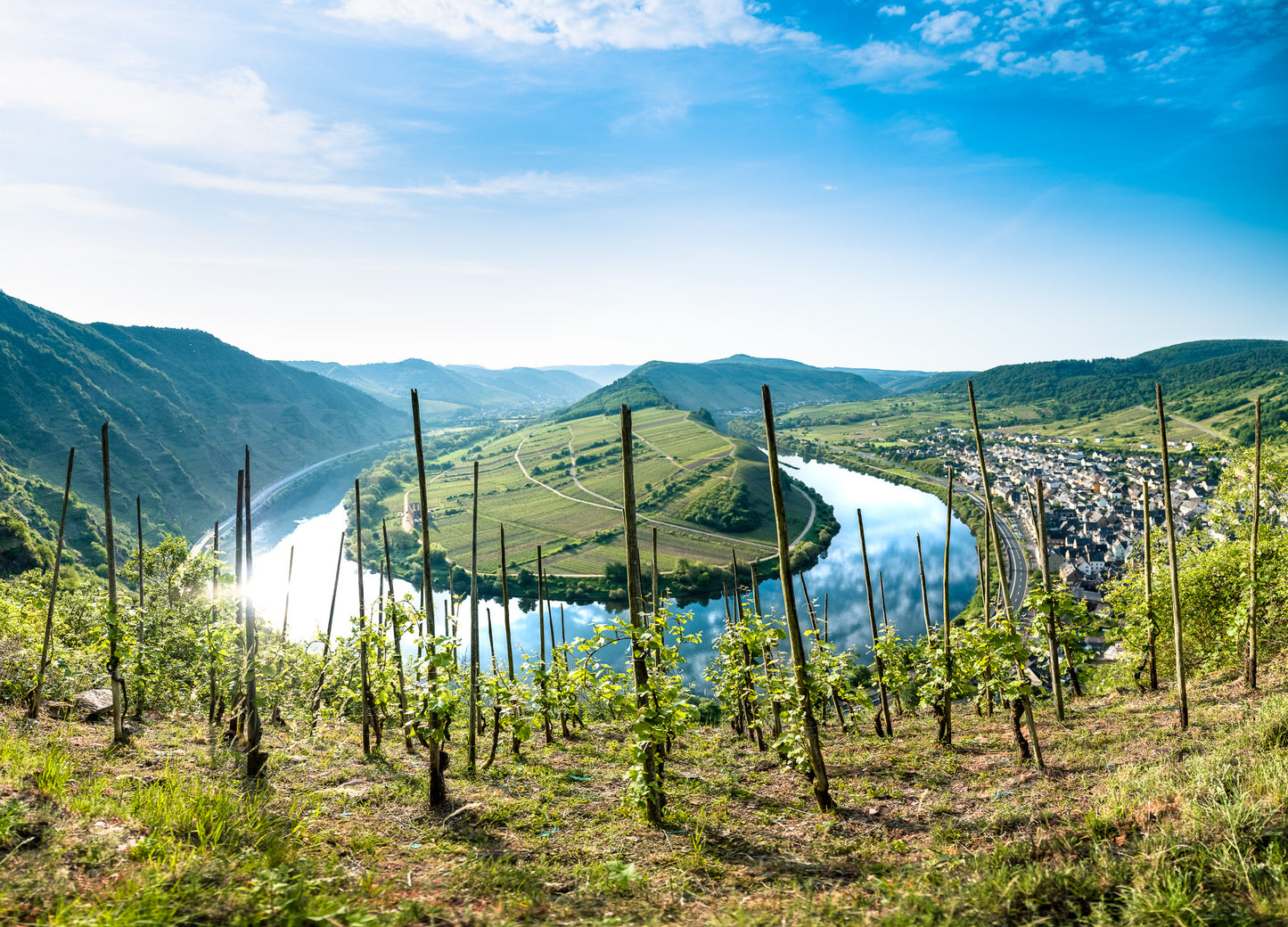 Fotografie-Print – Weinberge und Moselschleife bei Bremm