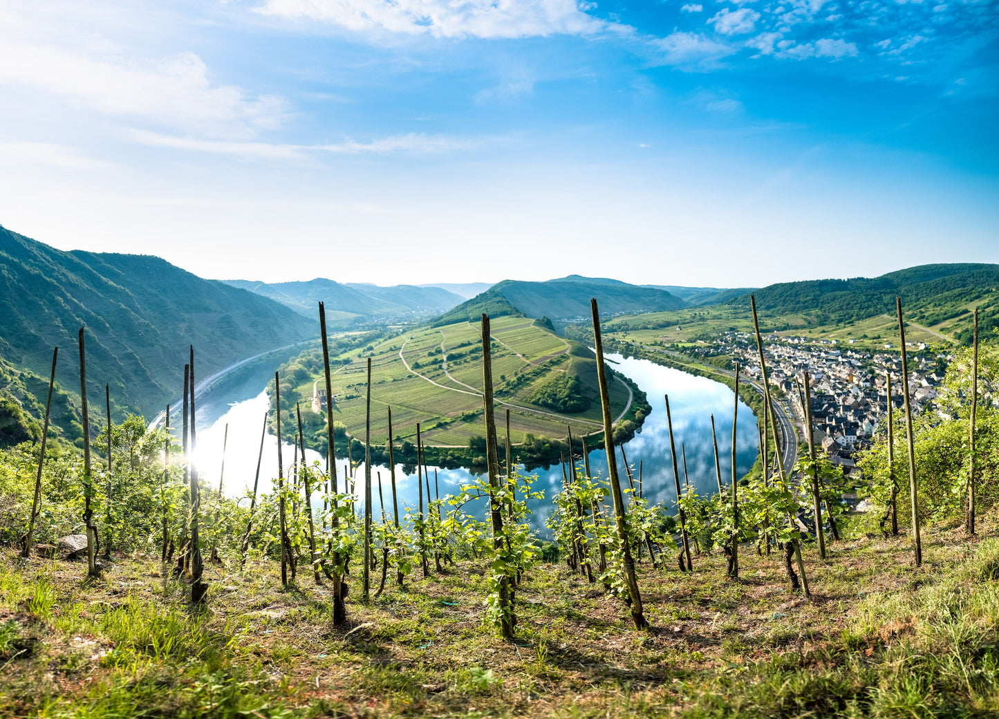 Fotografie-Print - Die Mosel Schleife bei Bremm nahe Cochem - Weinberge in Rheinland-Pfalz - Deutschland