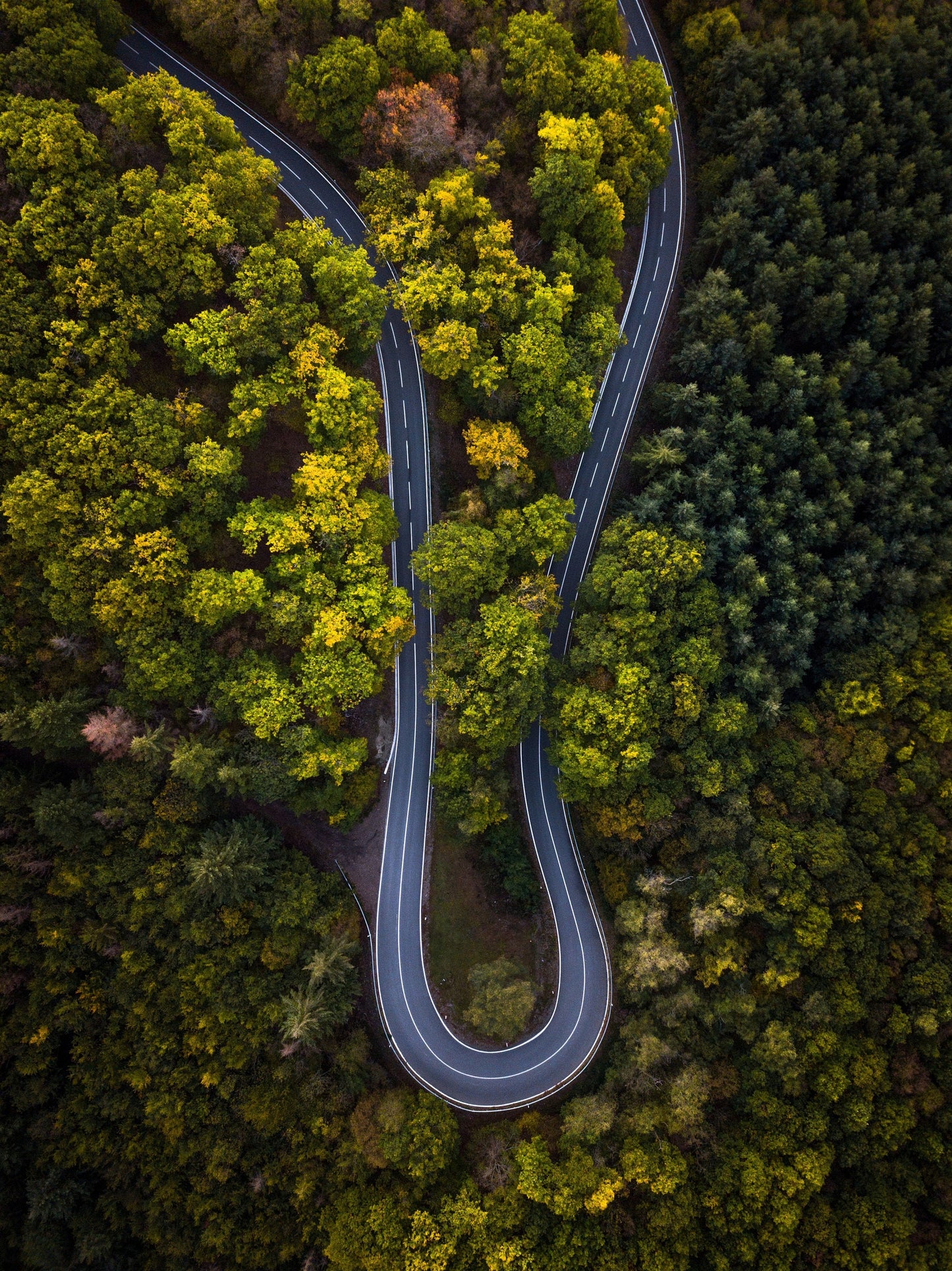 Photographic Print - Road Trip through the Golden Autumn