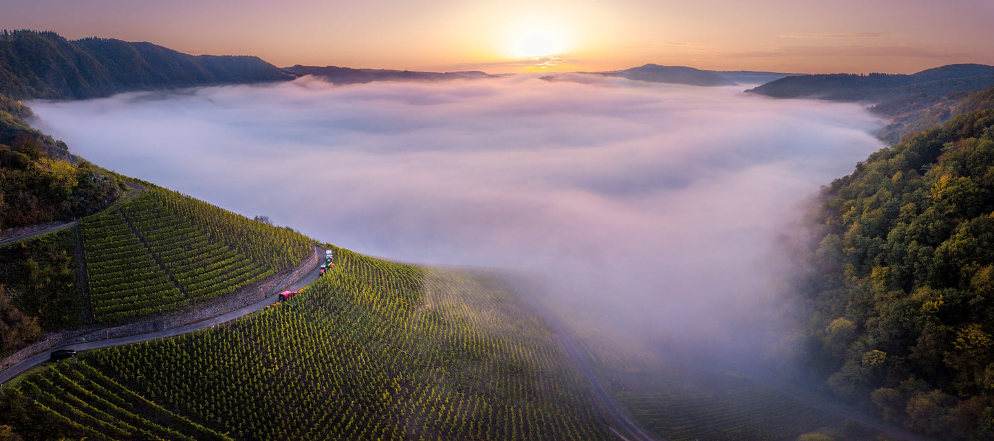 Fotografie-Print - Panorama Mosel Schleife im Nebel bei Sonnenaufgang - Weinberge in Rheinland-Pfalz - Deutschland