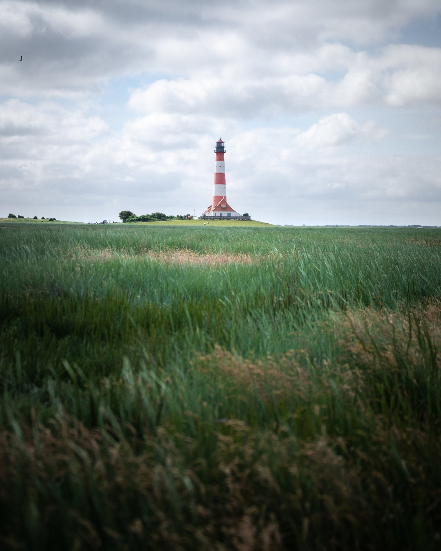 Photographic Print - Westerheversand Lighthouse - North Sea, Schleswig-Holstein, Germany
