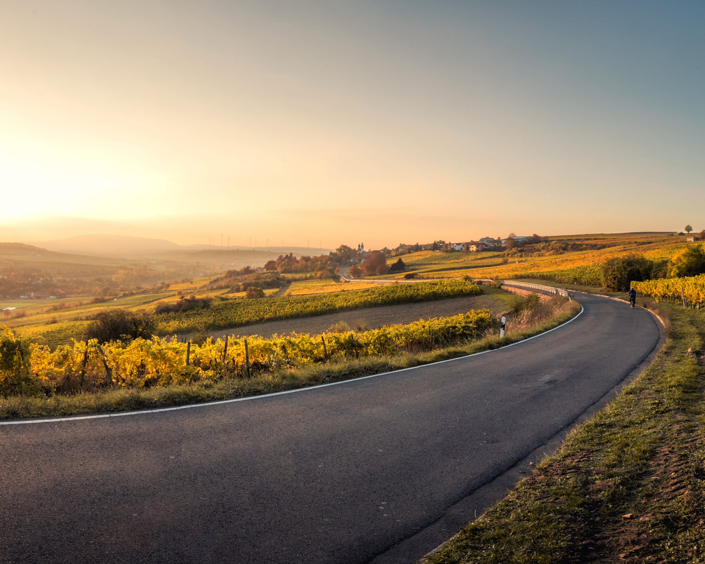 Fotografie-Print - Die Weinberge der Pfalz bei Sonnenuntergang - Rheinland-Pfalz - Deutschland