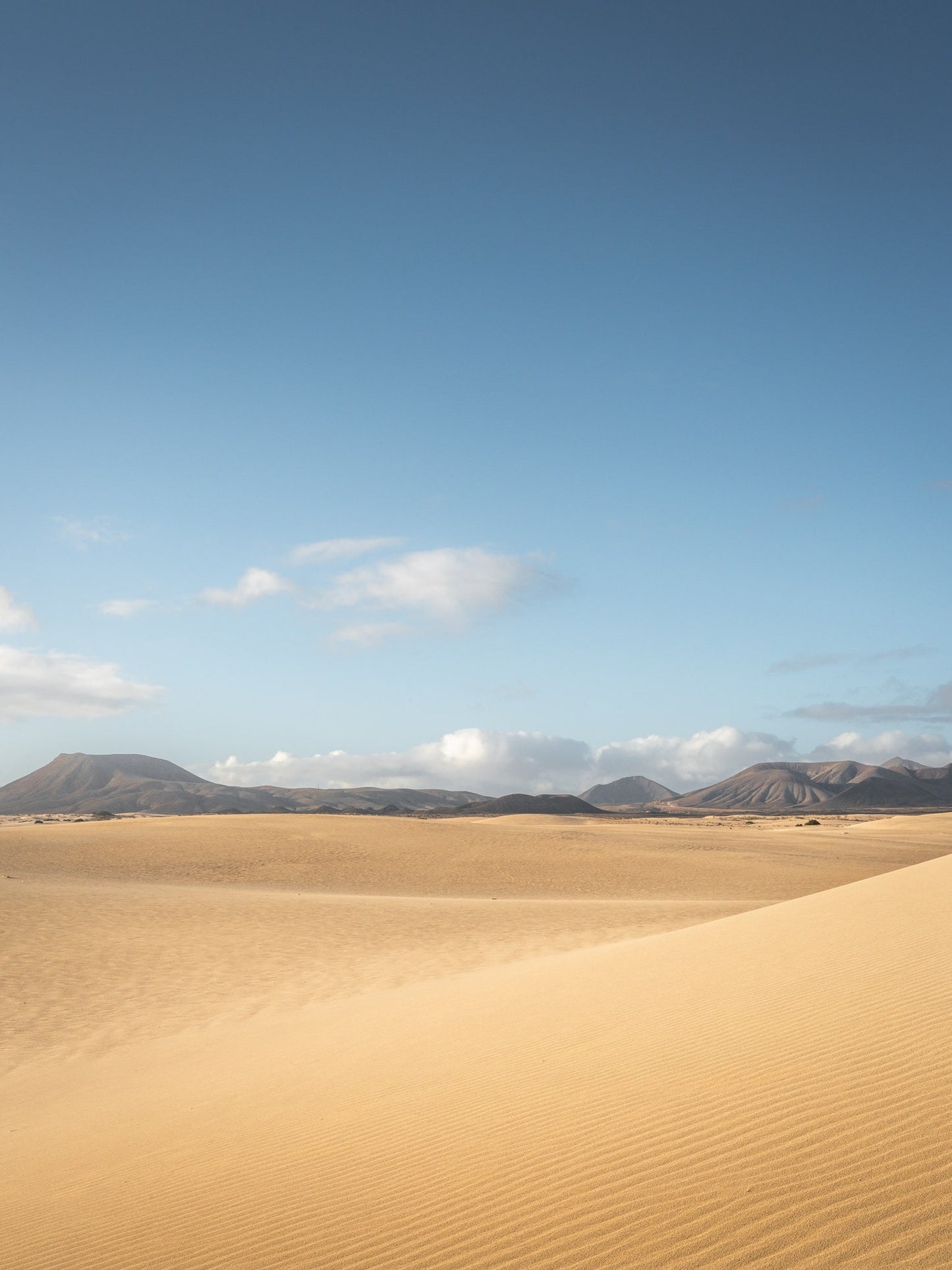 Sunny day in the dunes of Corralejo