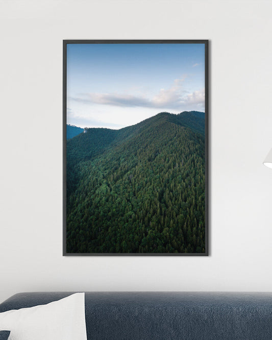 Photographic Print - Into the Woods - Bavarian Forest