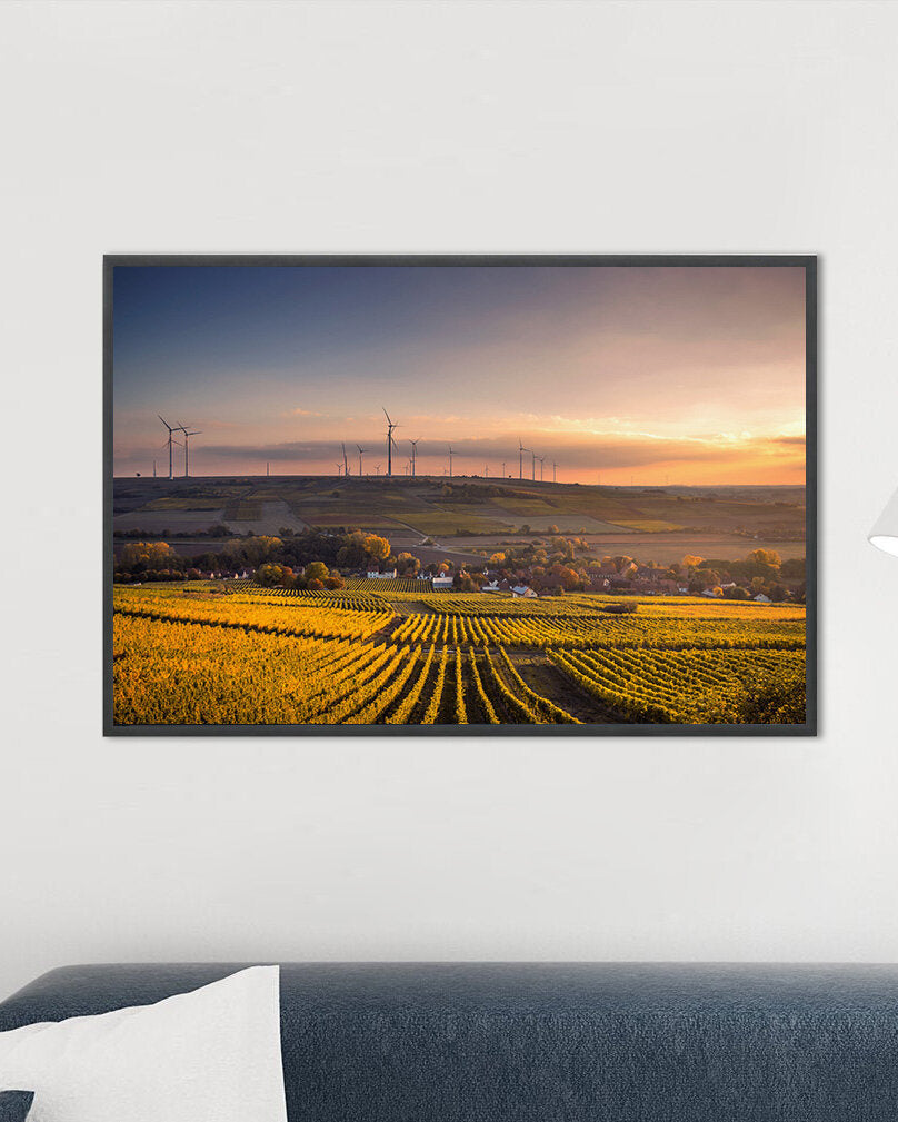 Fotografie-Print - Die Weinberge der Pfalz bei Sonnenuntergang - Rheinland-Pfalz - Deutschland