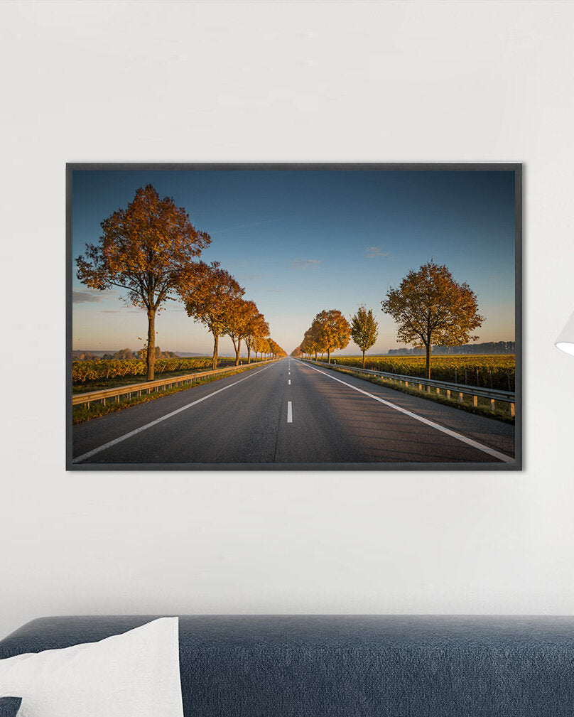 Photographic Print - Vineyards in Rheinhessen at sunrise - B9 in Germany