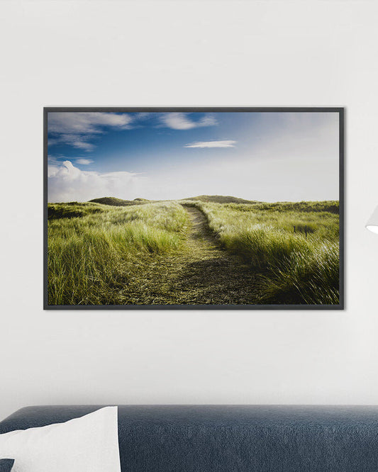 Photographic Print - Wonderful path in summer meadow on the Dutch island of Texel